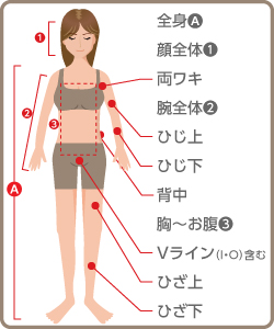 女性脱毛箇所