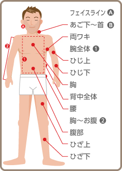 上半身の脱毛箇所